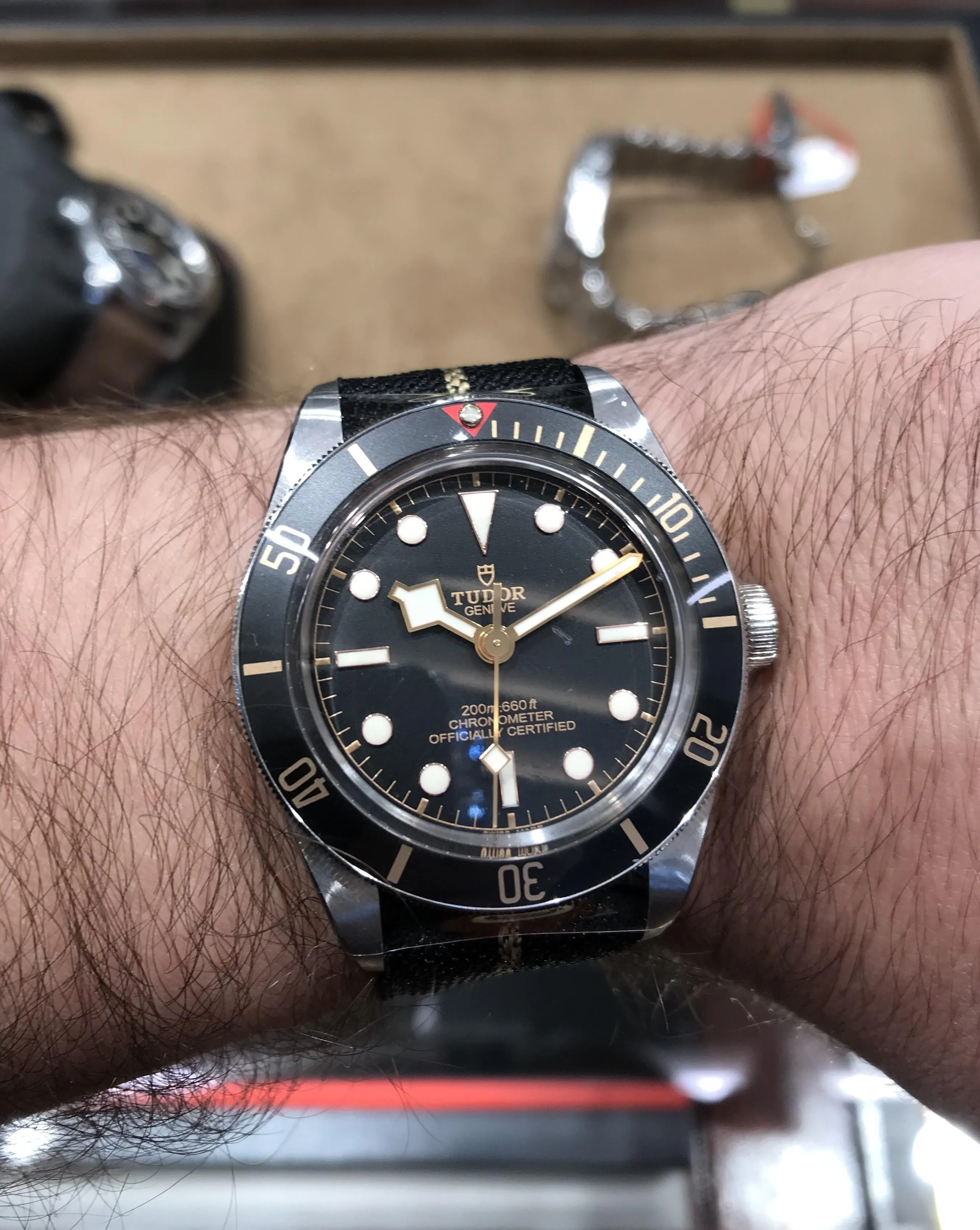 Tudor Black Bay 58 close-up wrist shot, black dial, gilt snowflake hands, black strap